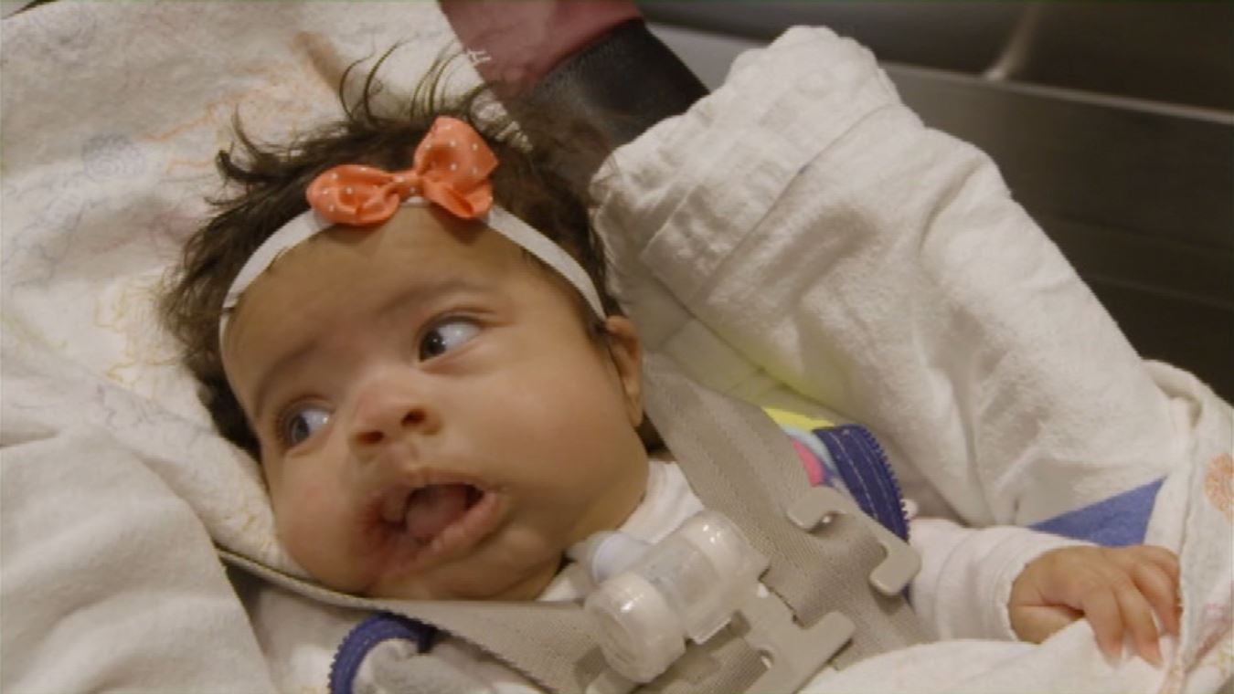 Фото - : 1350x760 / 78 Кб