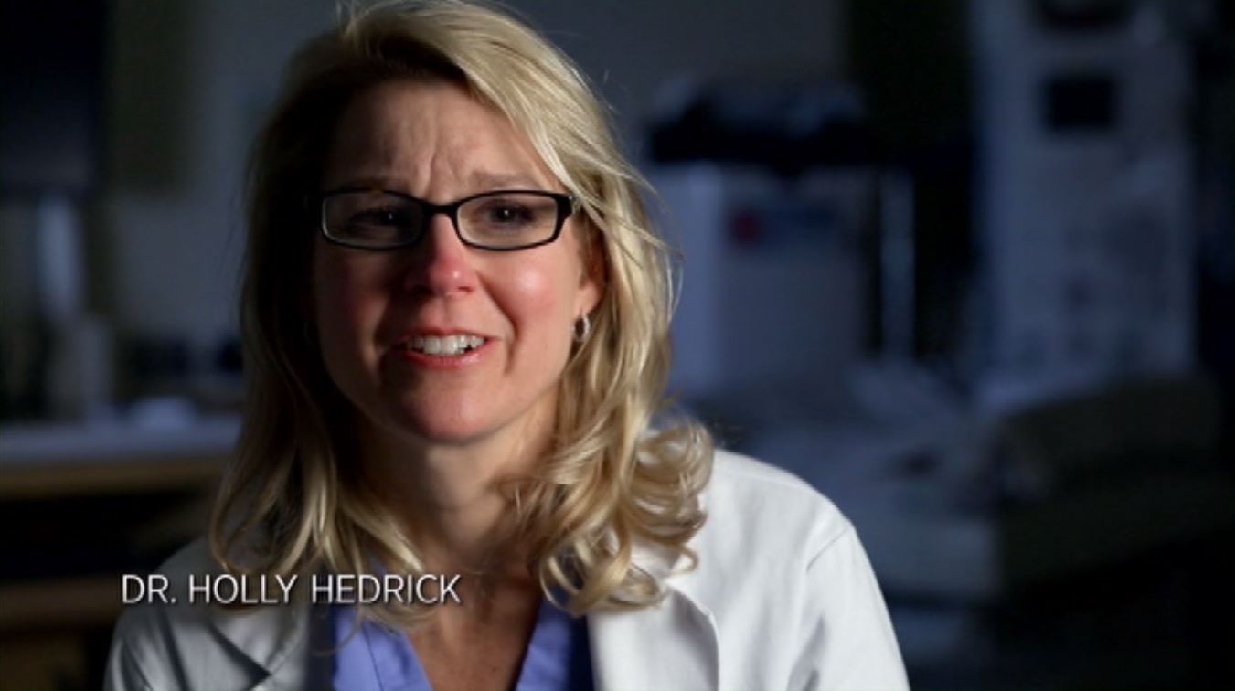 Фото - : 1351x756 / 63 Кб