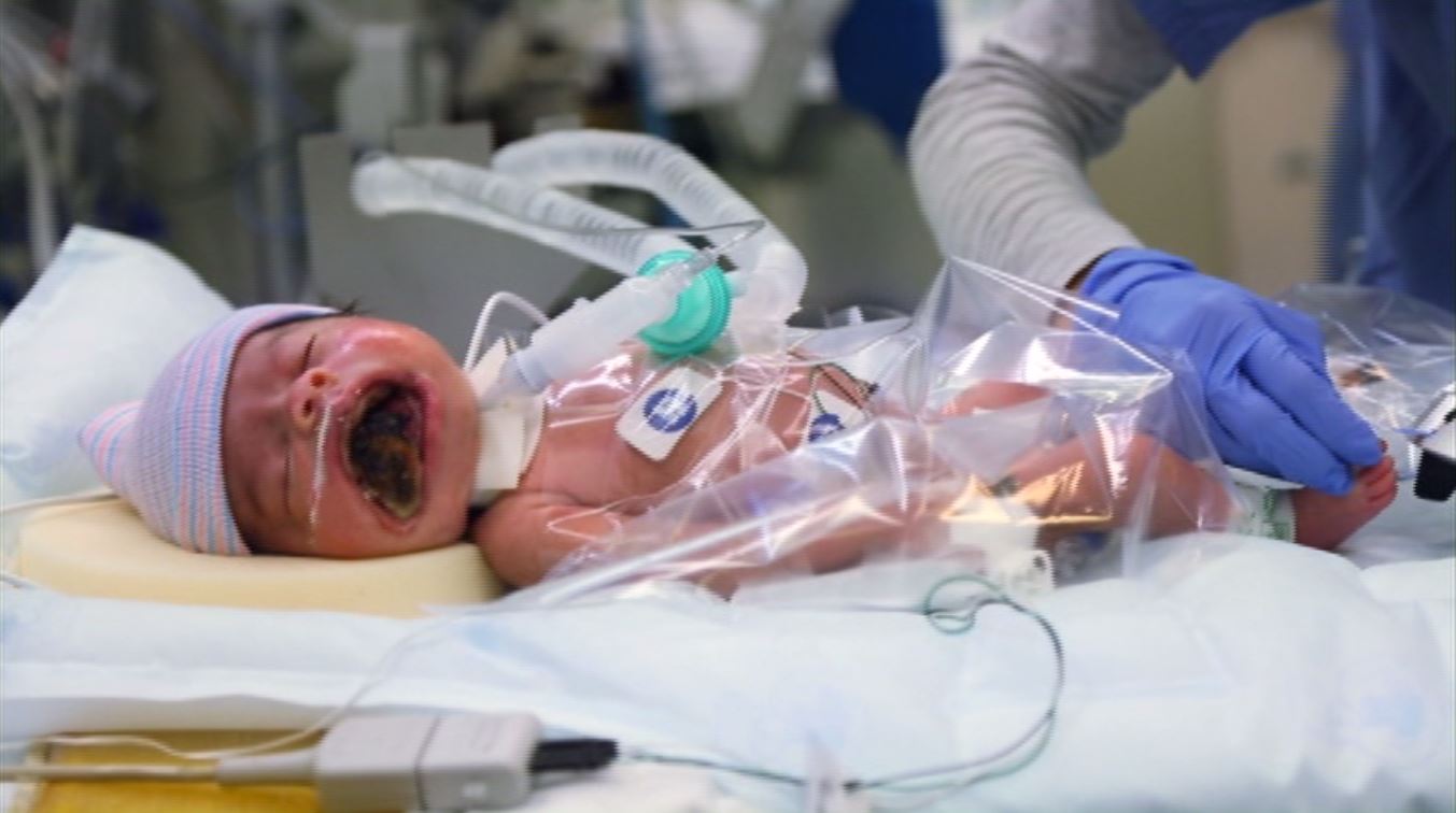 Фото - : 1353x756 / 85 Кб