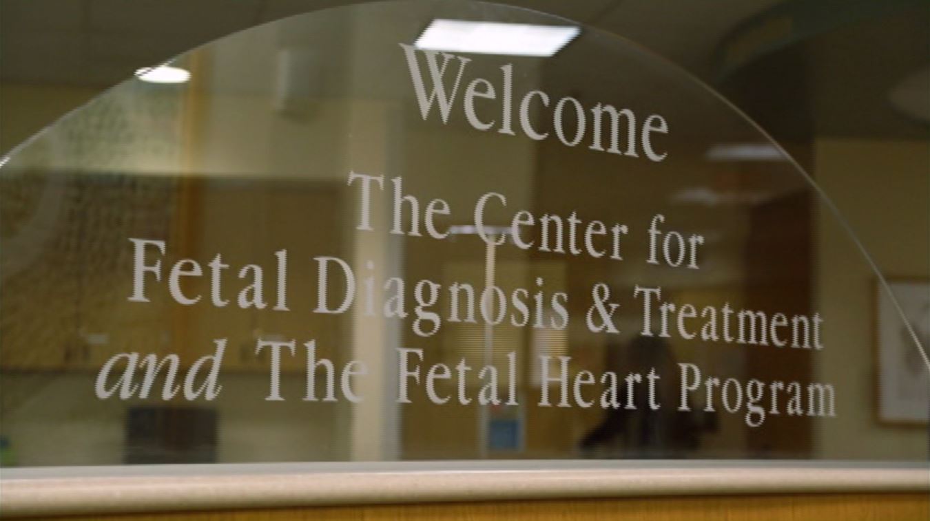 Фото - : 1350x757 / 80 Кб