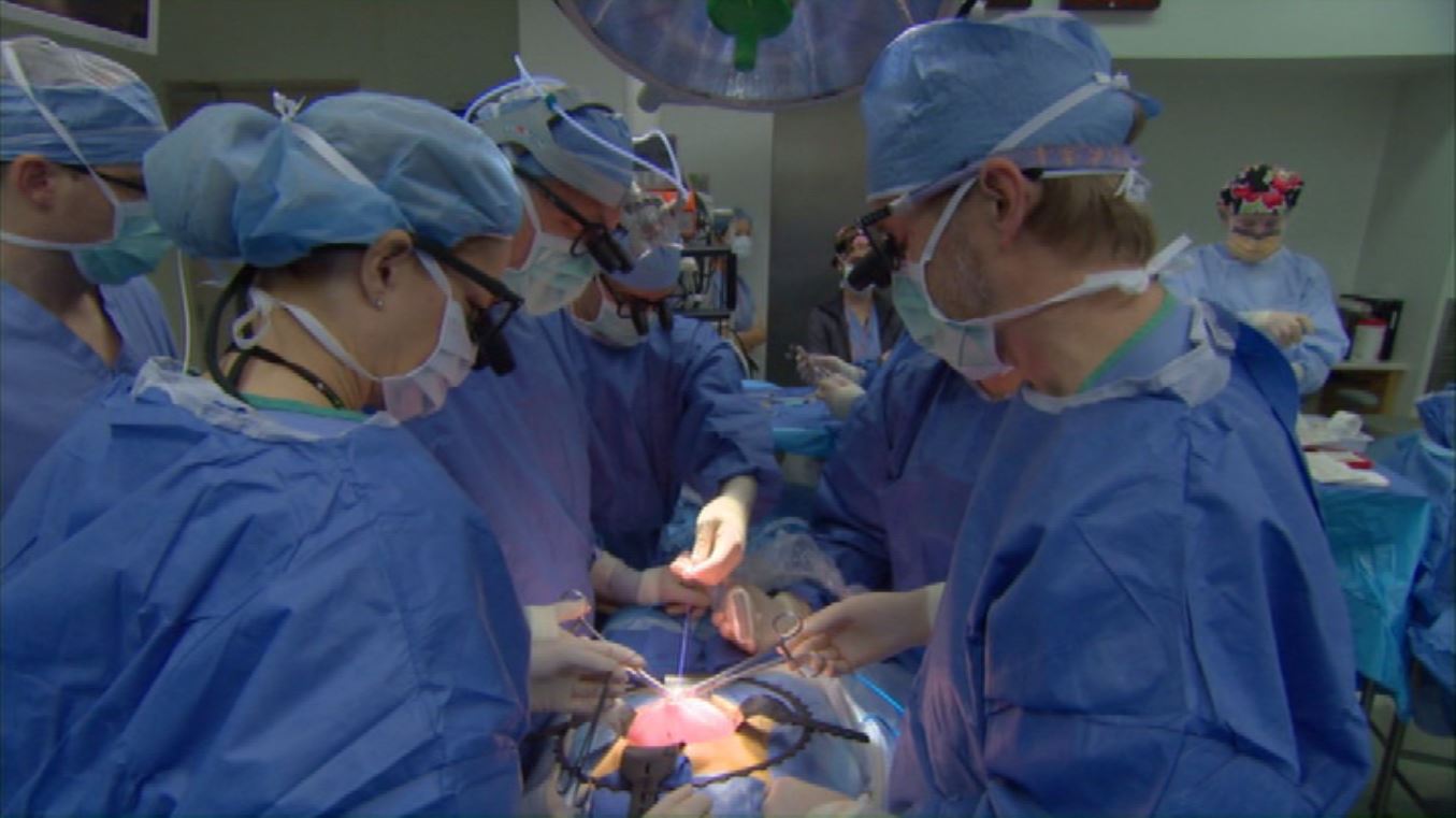 Фото - : 1355x761 / 92 Кб