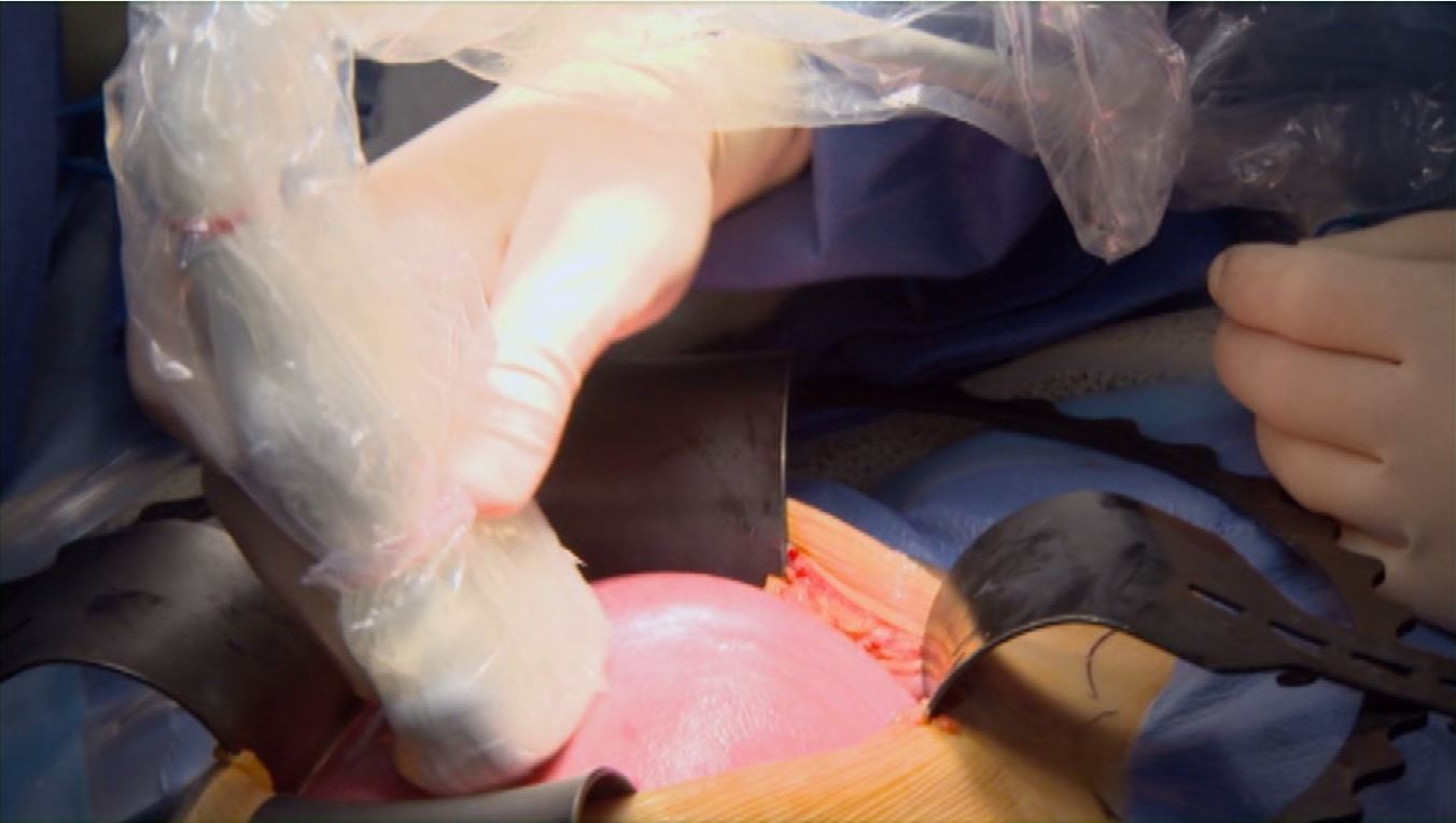 Фото - : 1352x764 / 72 Кб