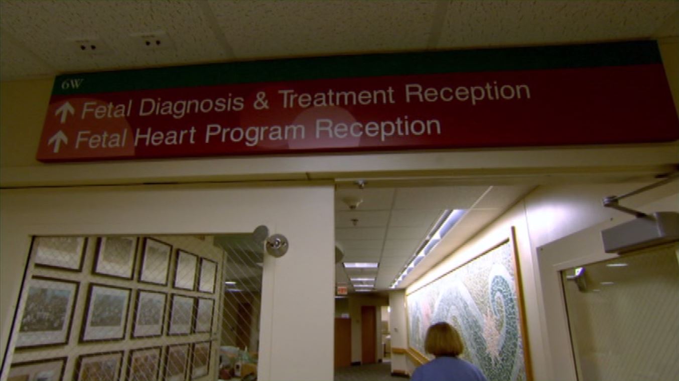 Фото - : 1353x759 / 85 Кб