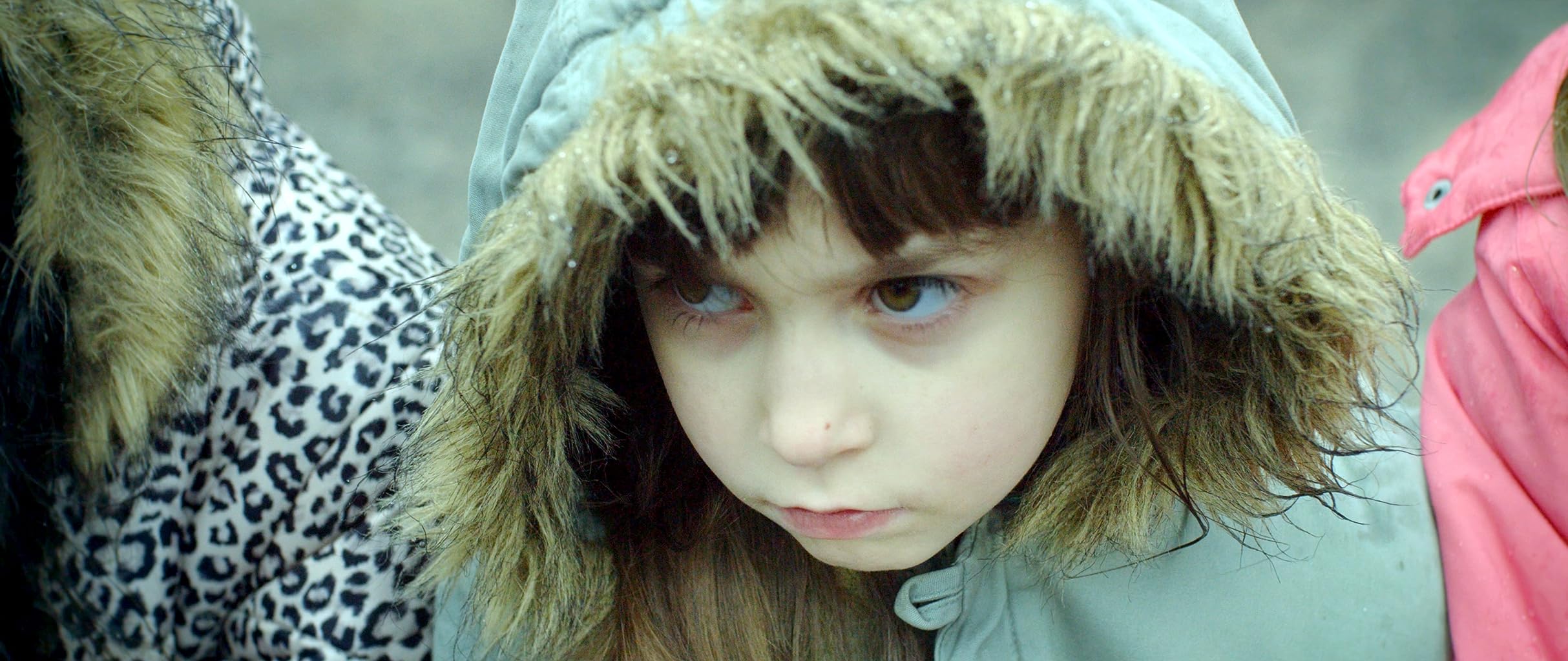 Фото - : 2427x1024 / 288 Кб