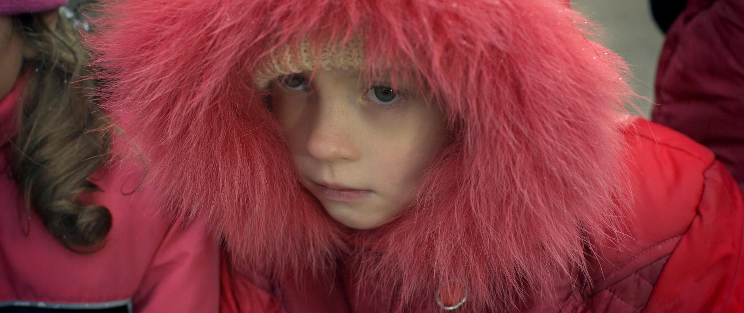 Фото - : 2427x1024 / 206 Кб