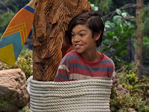 Фото - : 500x375 / 41 Кб