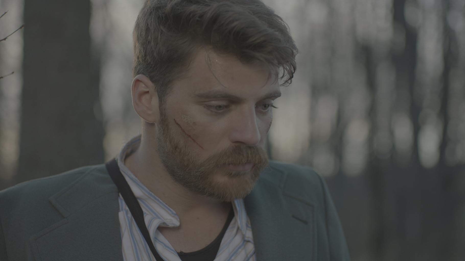 Фото - : 1820x1024 / 65 Кб