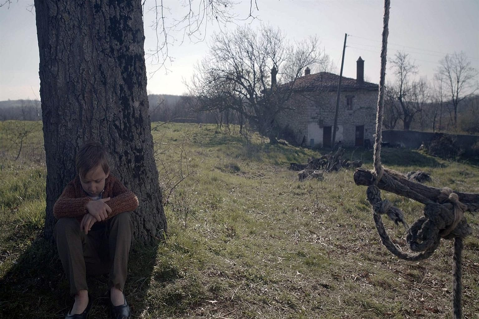 Фото - : 1536x1024 / 261 Кб