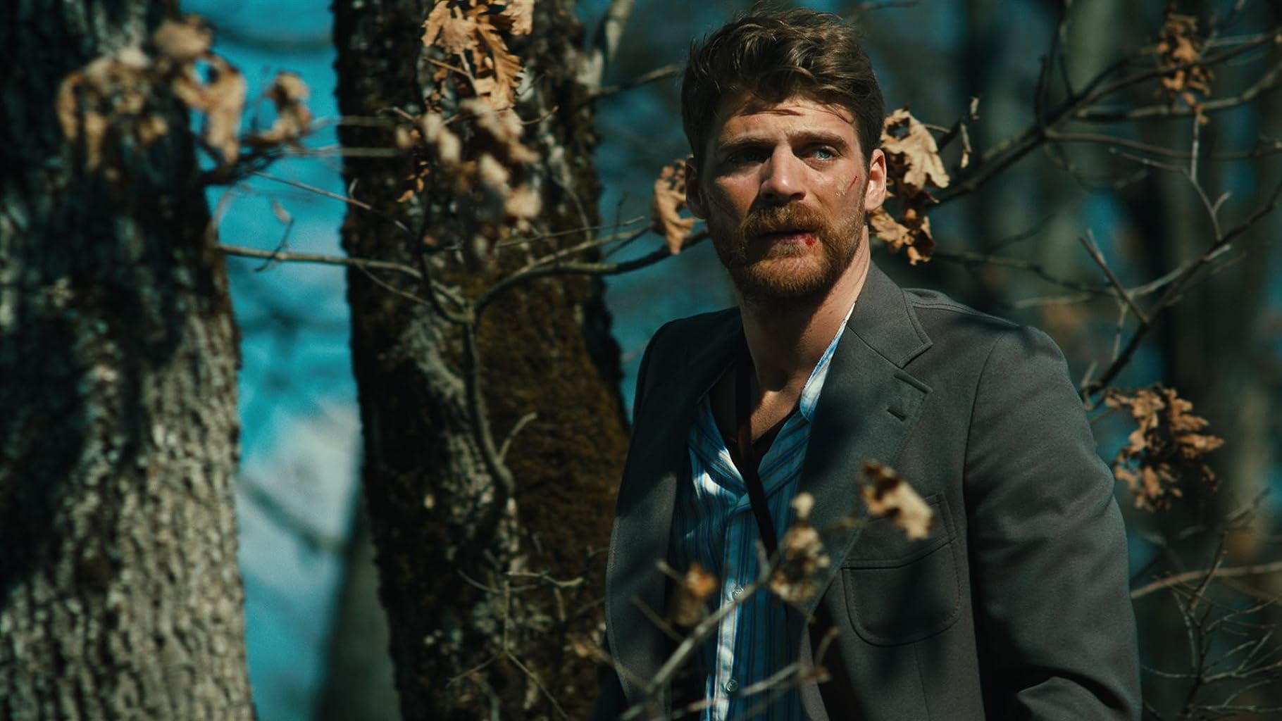 Фото - : 1820x1024 / 147 Кб