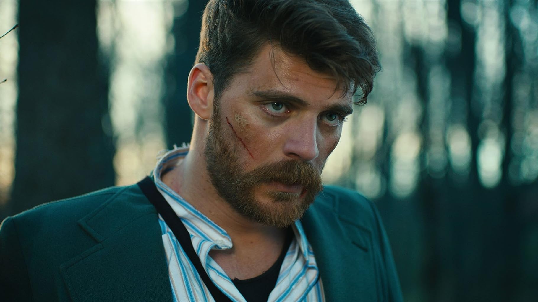 Фото - : 1820x1024 / 124 Кб