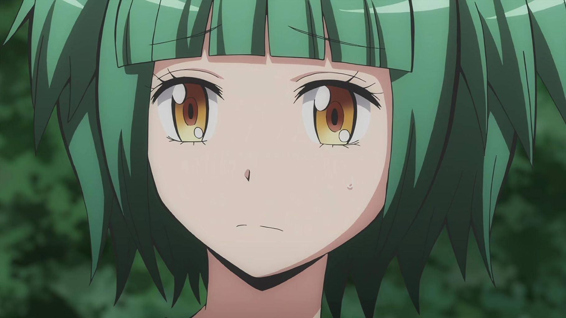 Фото - : 1820x1024 / 96 Кб