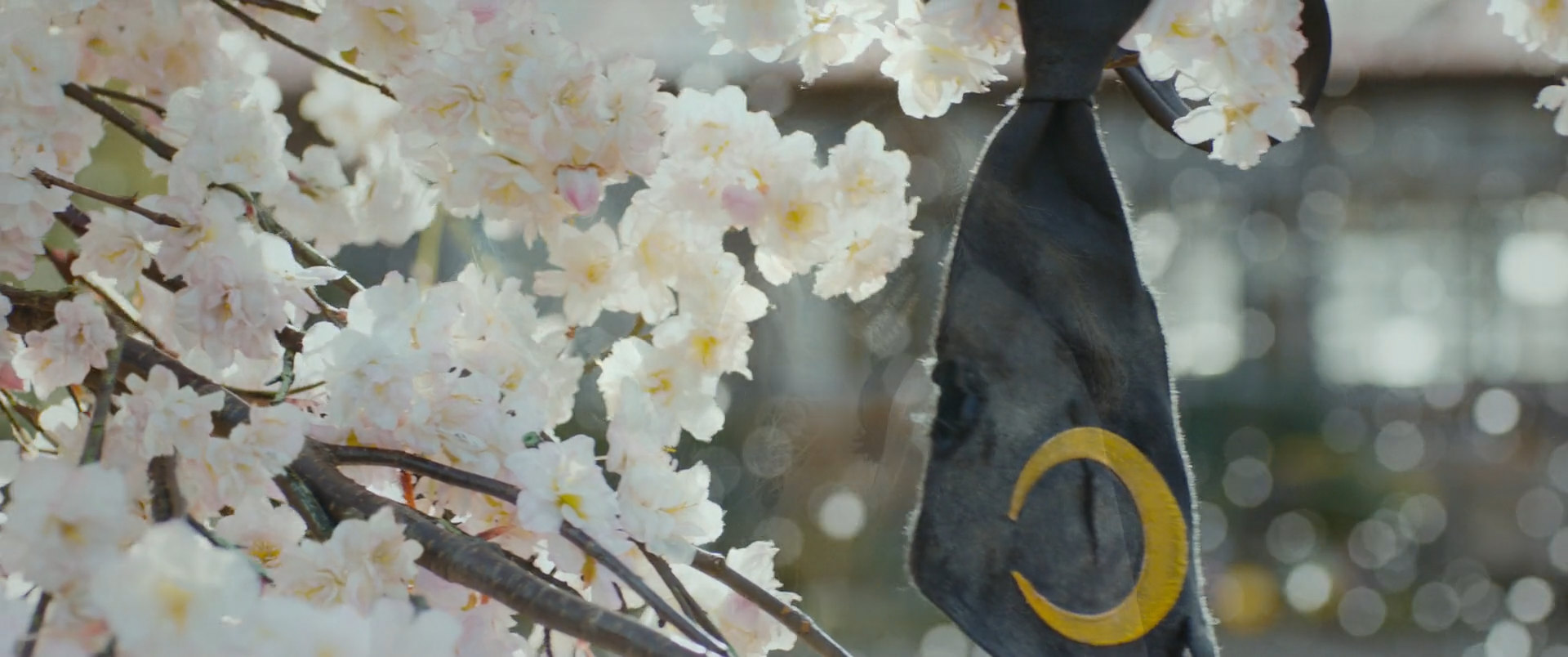 Фото - : 1920x804 / 208 Кб