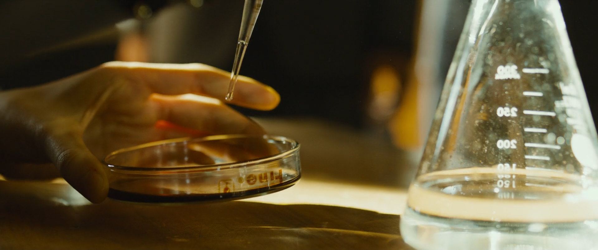 Фото - : 1920x804 / 167 Кб