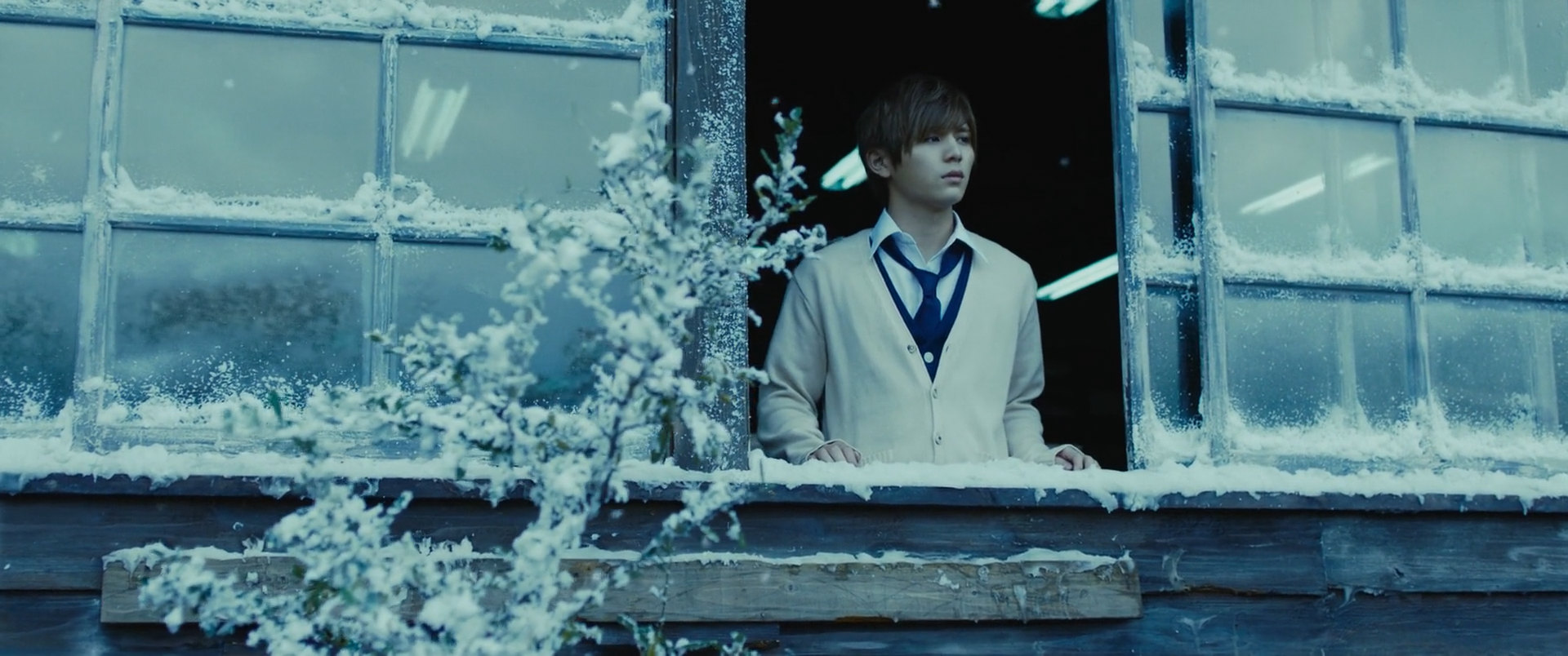 Фото - : 1920x804 / 277 Кб