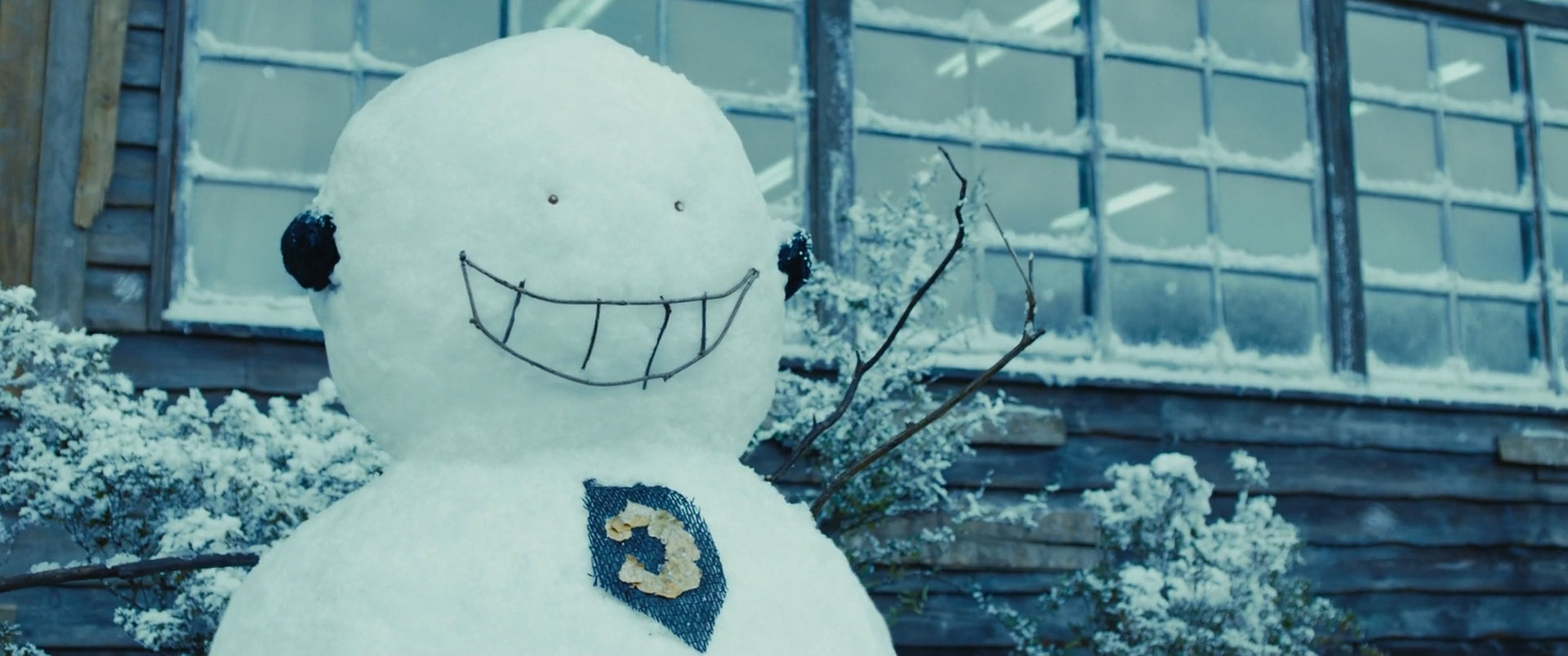 Фото - : 1920x804 / 239 Кб