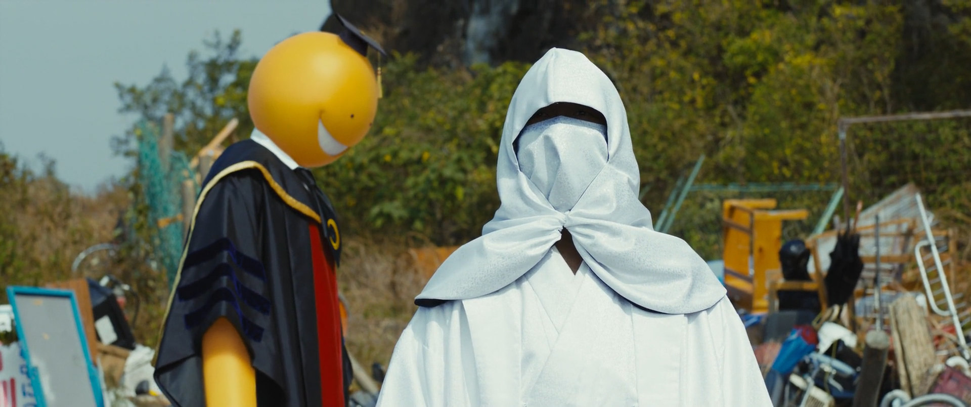 Фото - : 1920x804 / 234 Кб