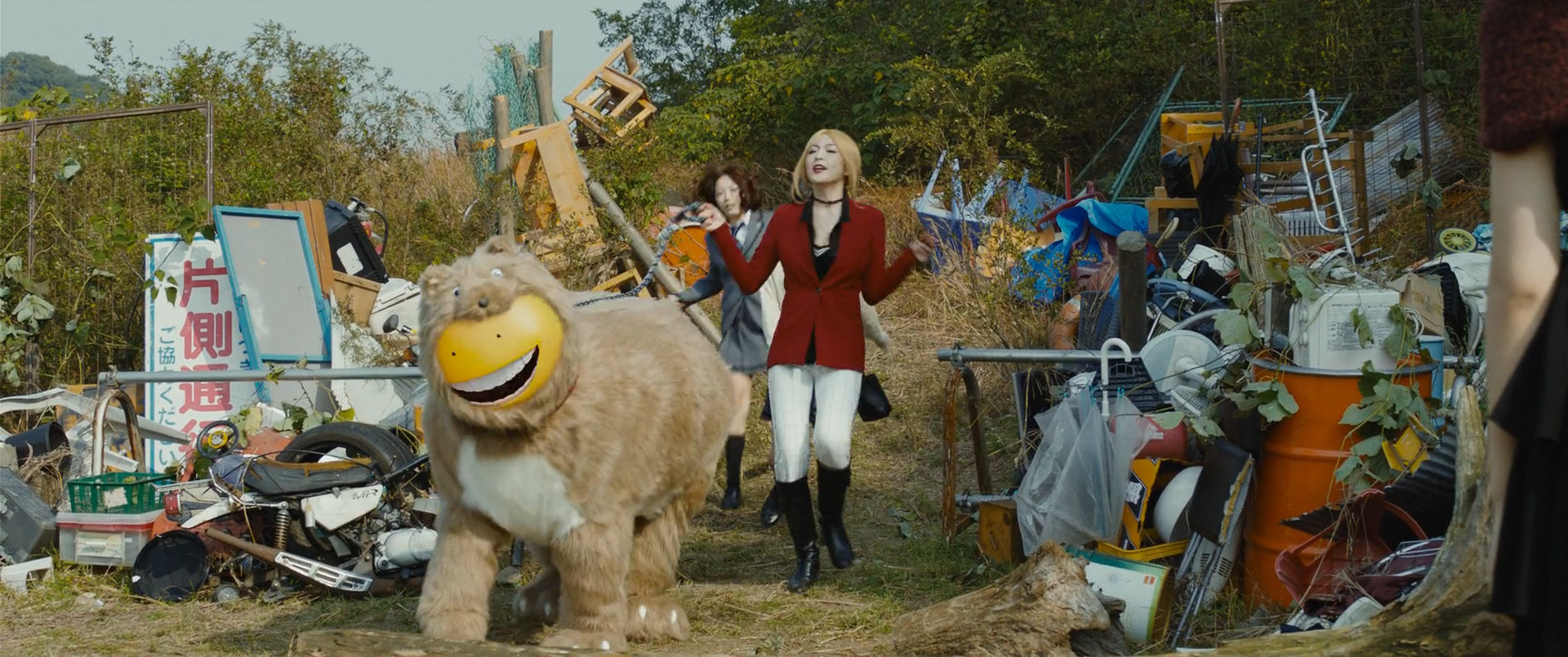 Фото - : 1920x804 / 430 Кб