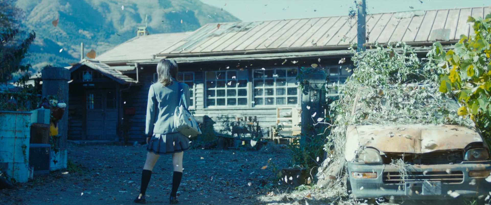 Фото - : 1920x804 / 361 Кб