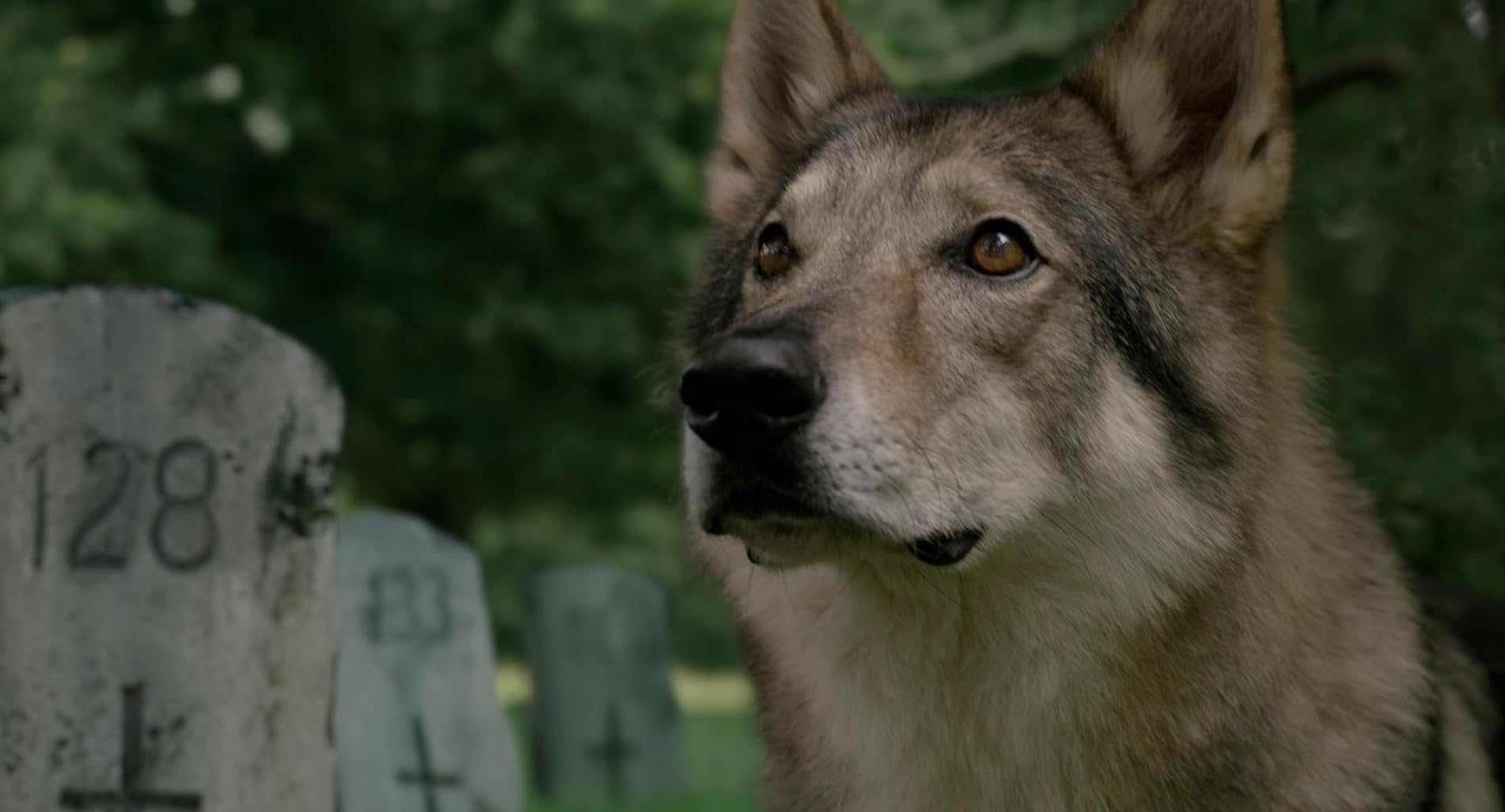 Фото - Новые мутанты: 1898x1024 / 101 Кб