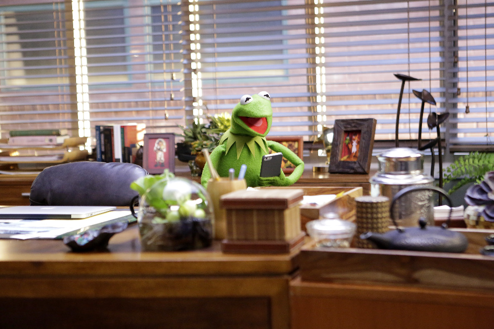 Фото - Маппеты: 1000x667 / 293 Кб