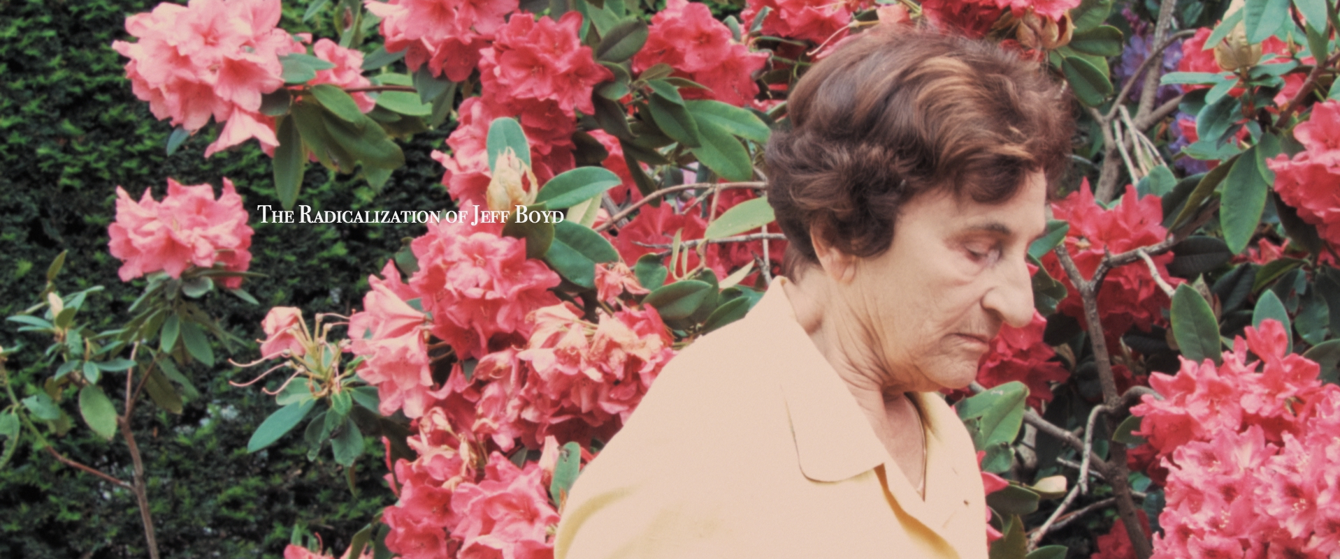 Фото - : 1917x801 / 1484 Кб