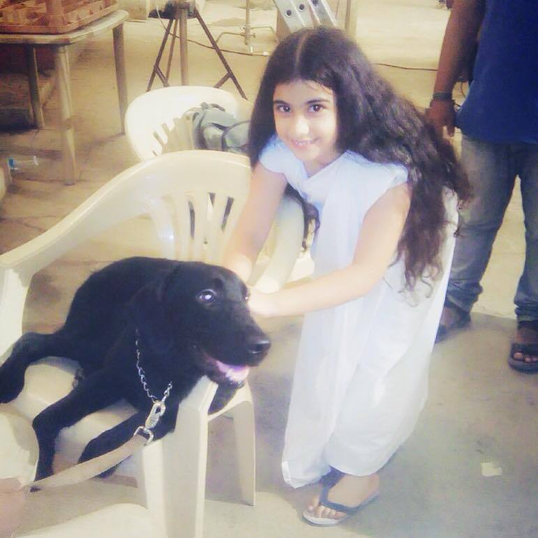 Фото - : 771x771 / 51 Кб