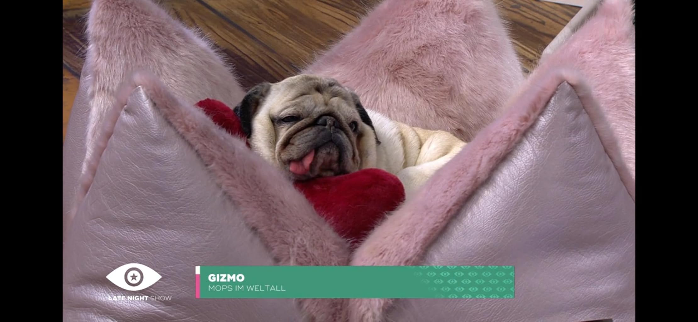 Фото - : 2219x1024 / 150 Кб