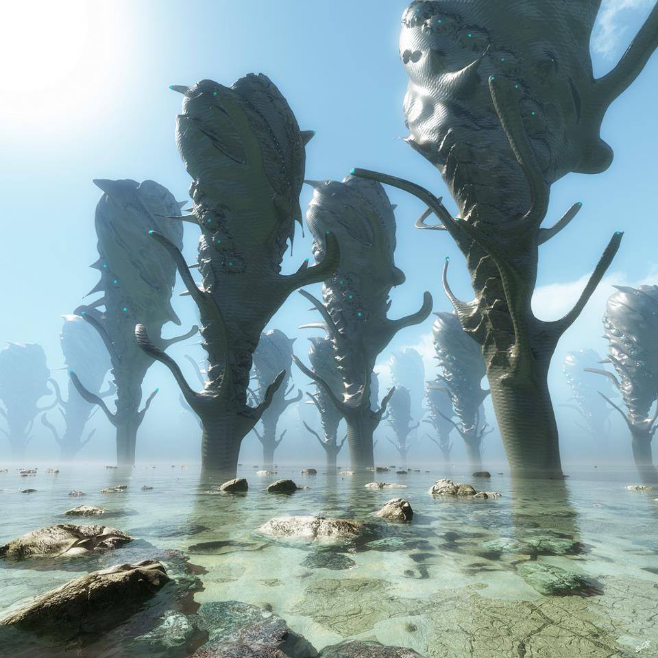 Фото - : 960x960 / 118 Кб