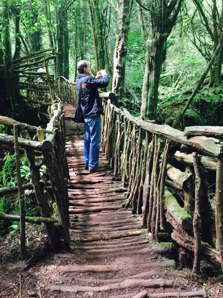 Фото - : 768x1024 / 296 Кб