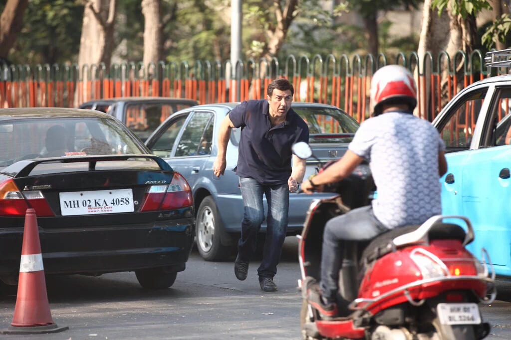 Фото - : 1024x683 / 237 Кб