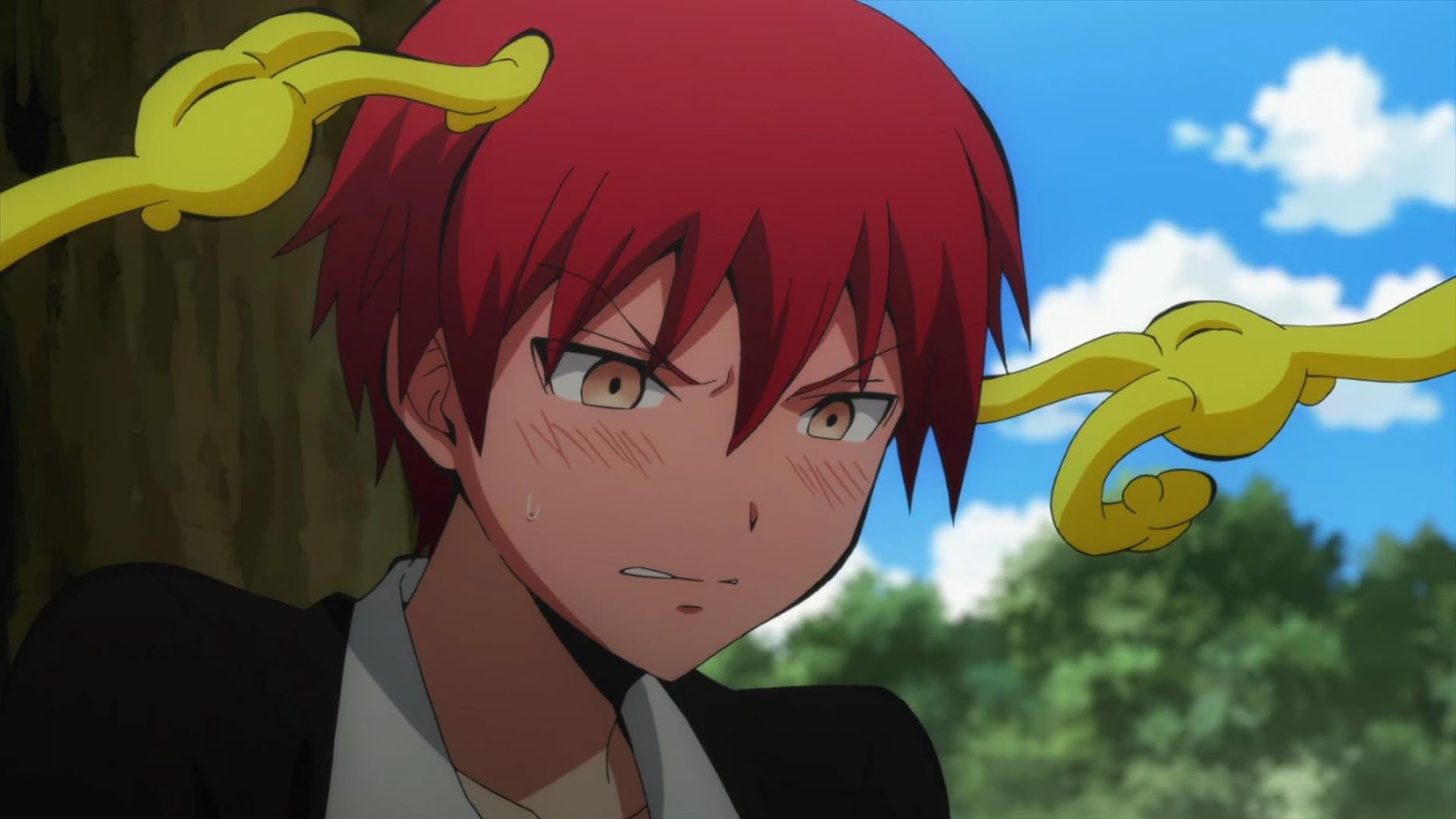 Фото - : 1820x1024 / 91 Кб