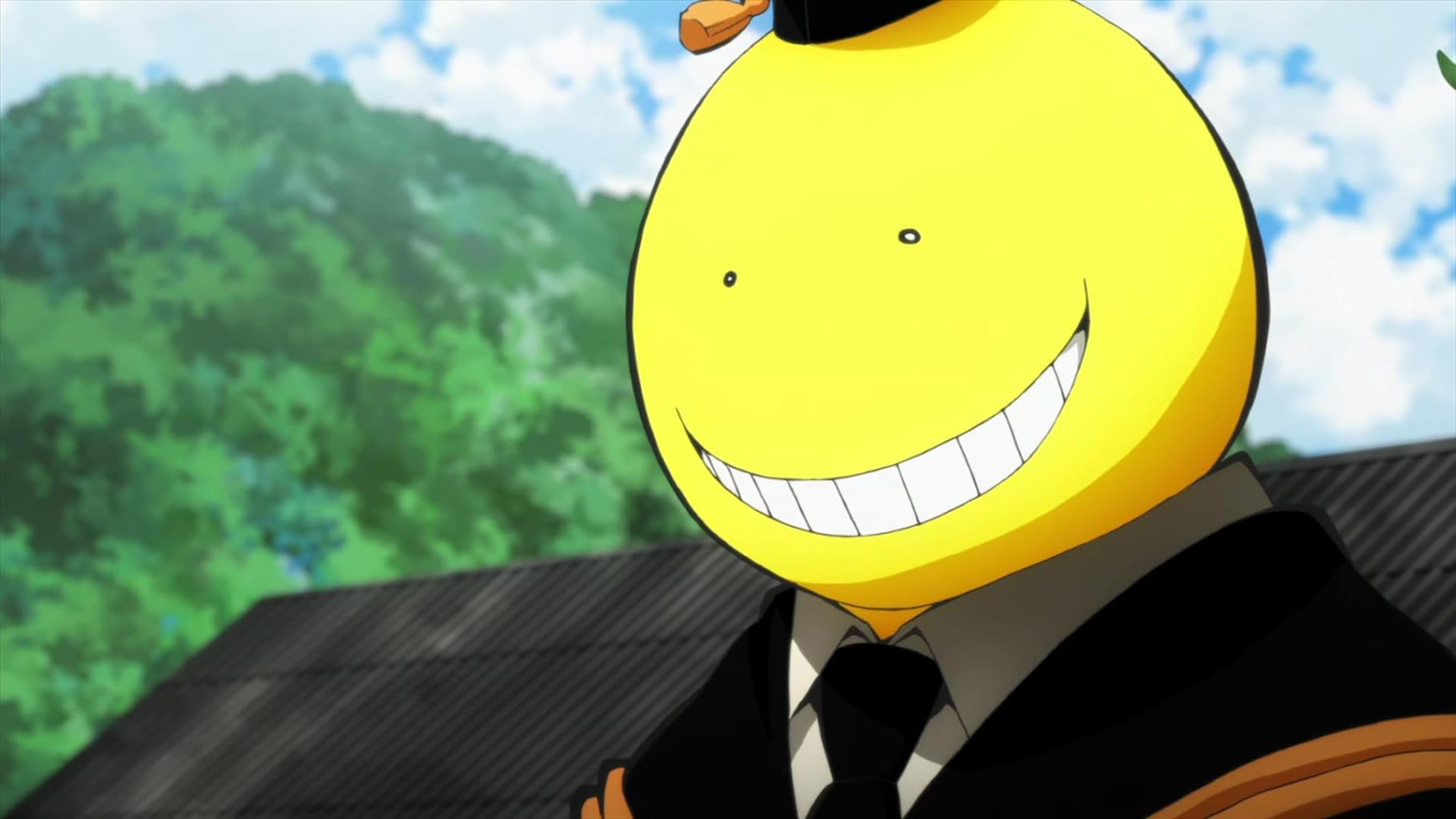 Фото - : 1820x1024 / 90 Кб