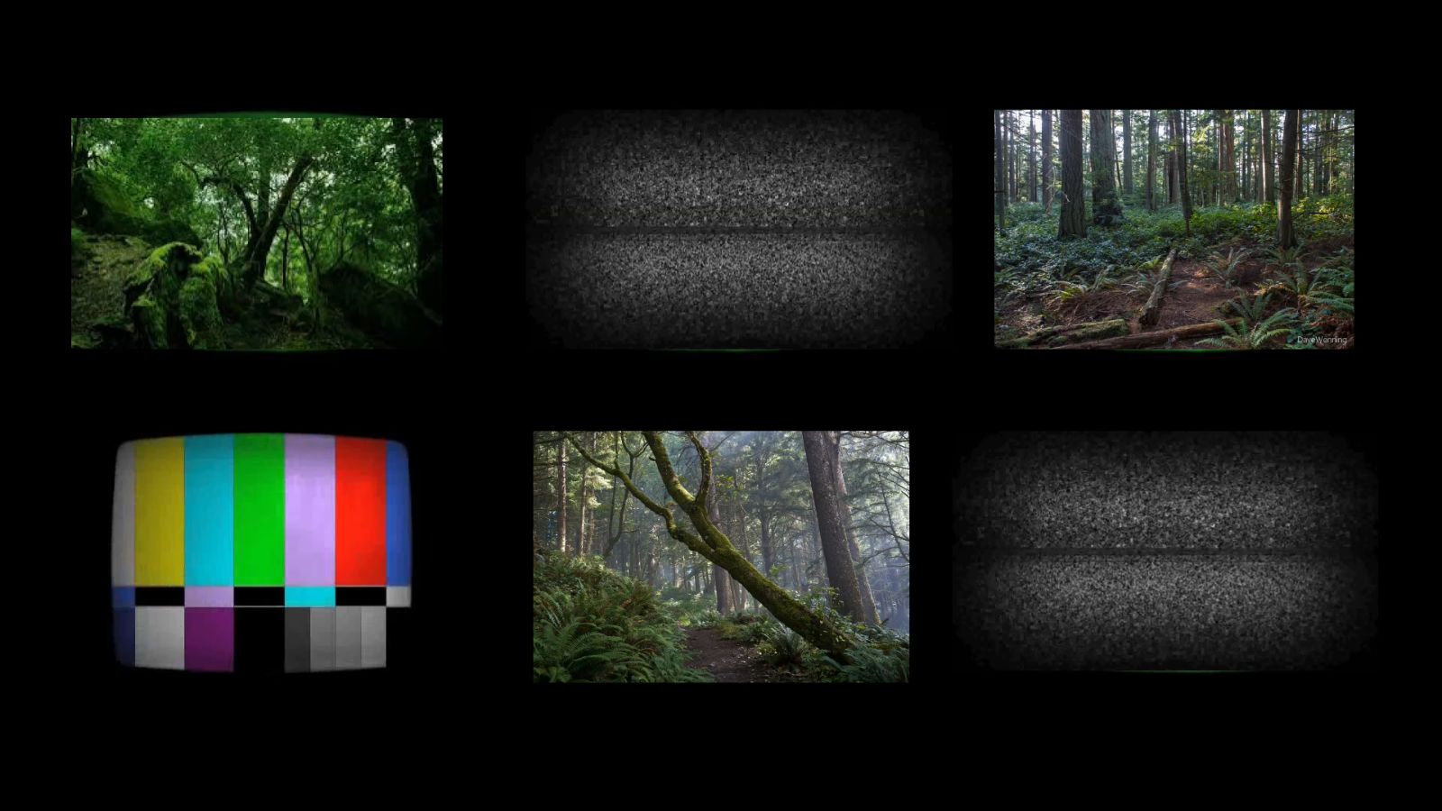 Фото - : 1600x900 / 147 Кб