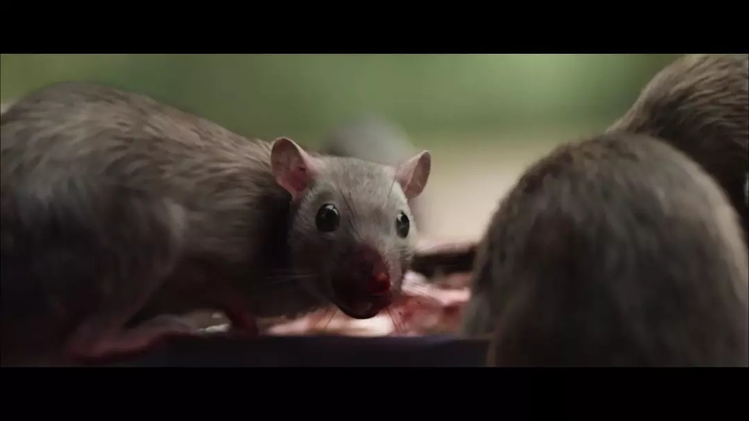 Фото - : 1080x607 / 73 Кб