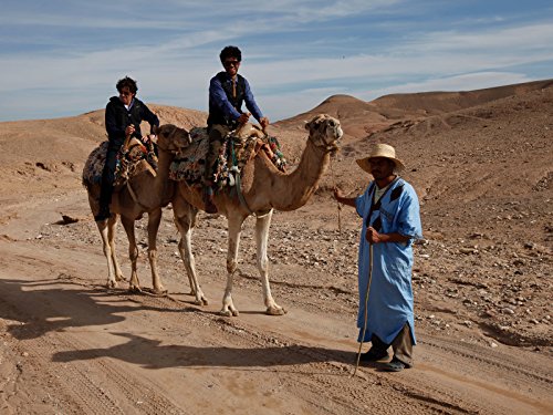 Фото - : 500x375 / 58 Кб