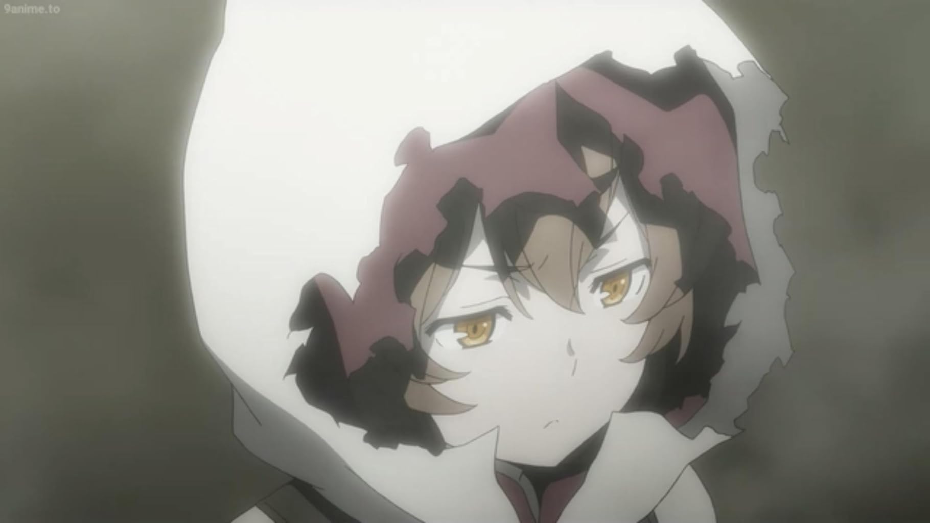 Фото - : 1820x1024 / 54 Кб