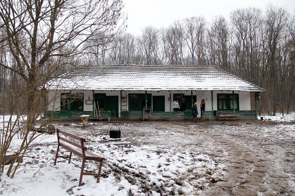 Фото - : 960x639 / 154 Кб