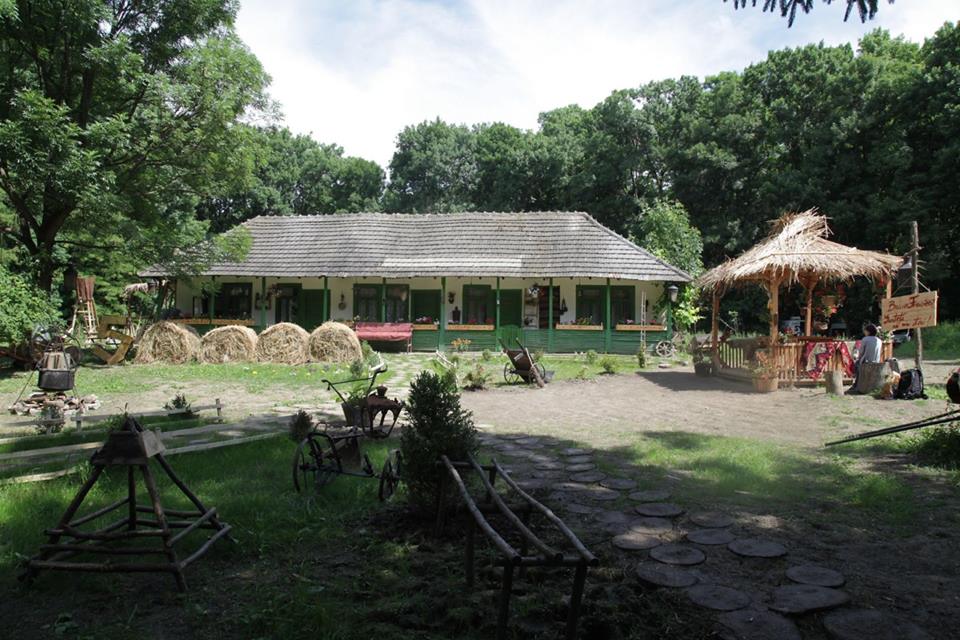 Фото - : 960x640 / 119 Кб