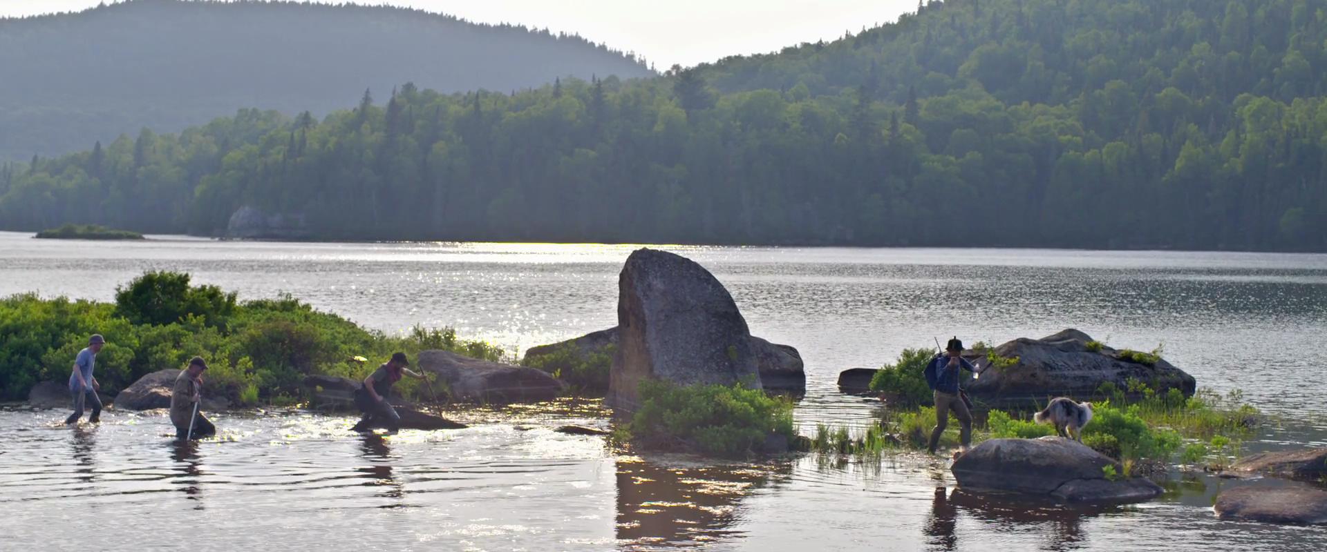 Фото - : 1920x800 / 183 Кб