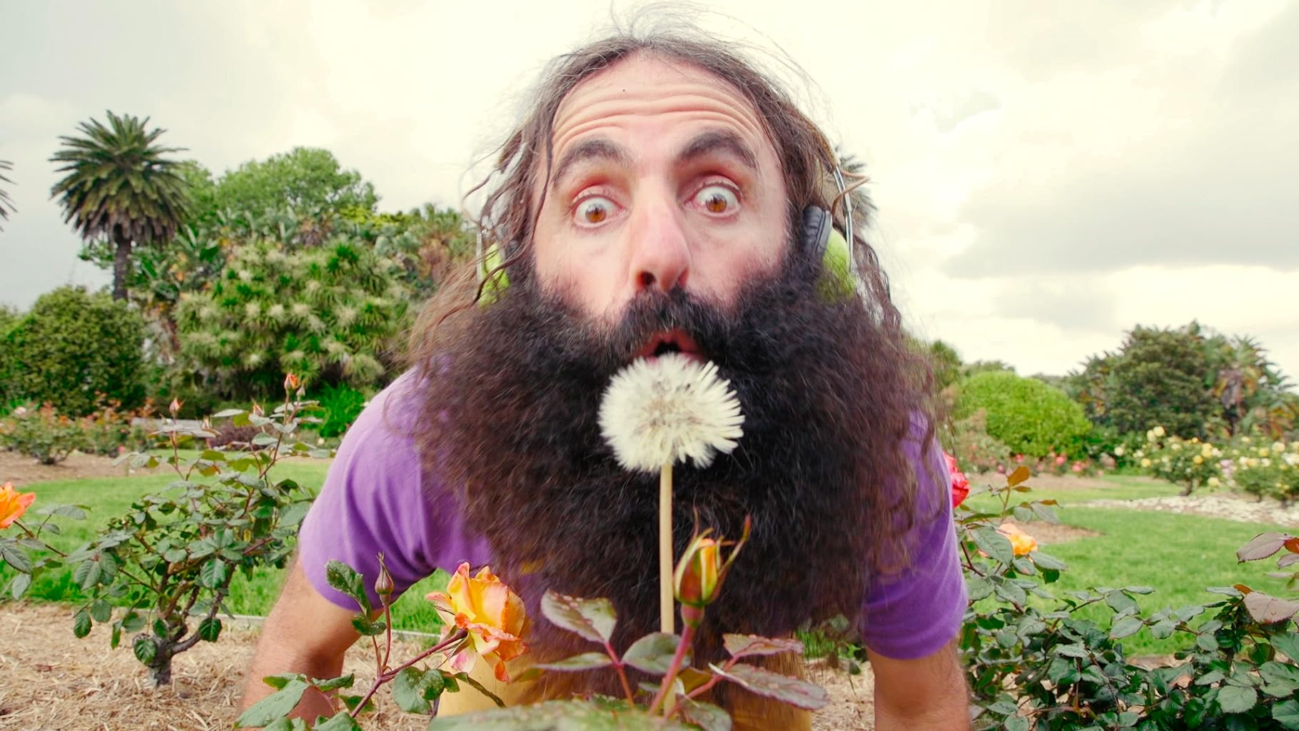 Фото - : 1820x1024 / 216 Кб