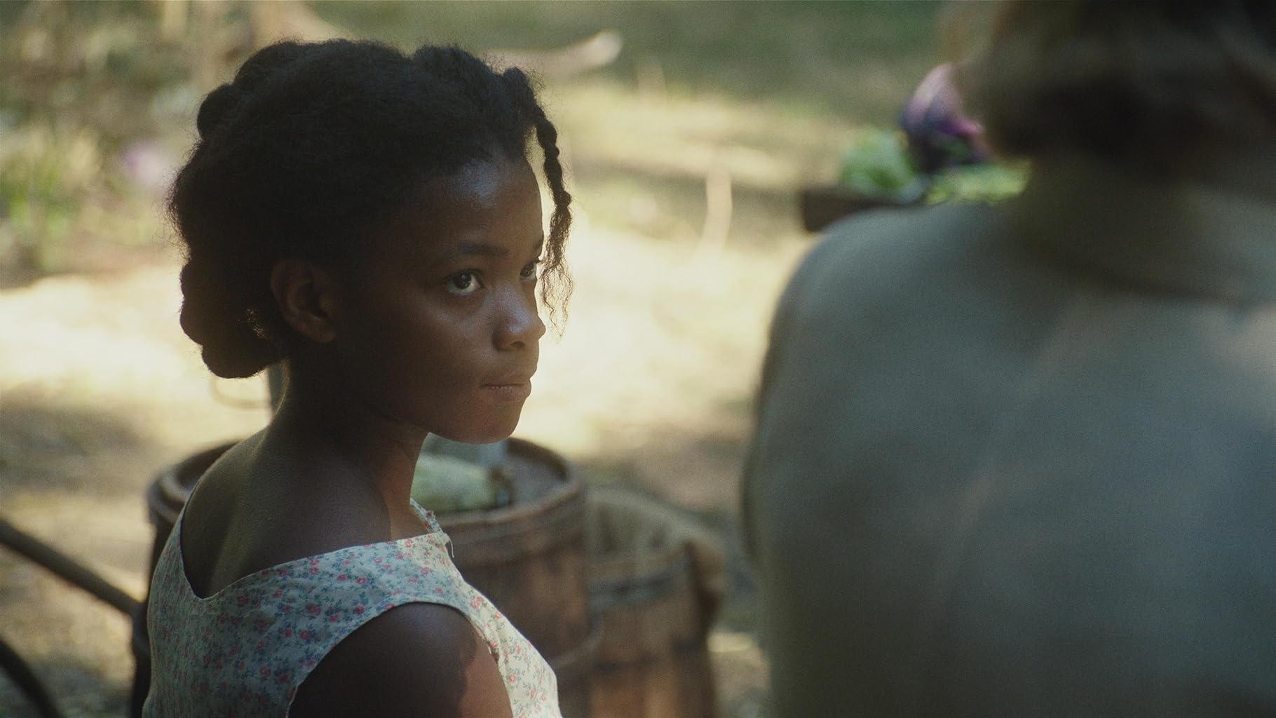 Фото - Зельда: начало всего: 1820x1024 / 119 Кб