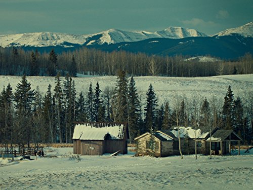 Фото - Вайнона Эрп: 500x375 / 54 Кб