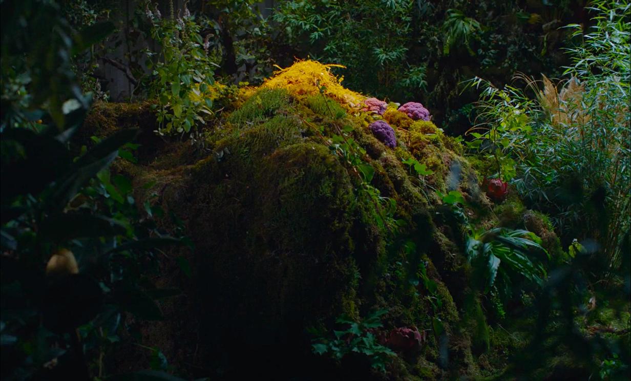 Фото - Высшее общество: 1232x744 / 128 Кб