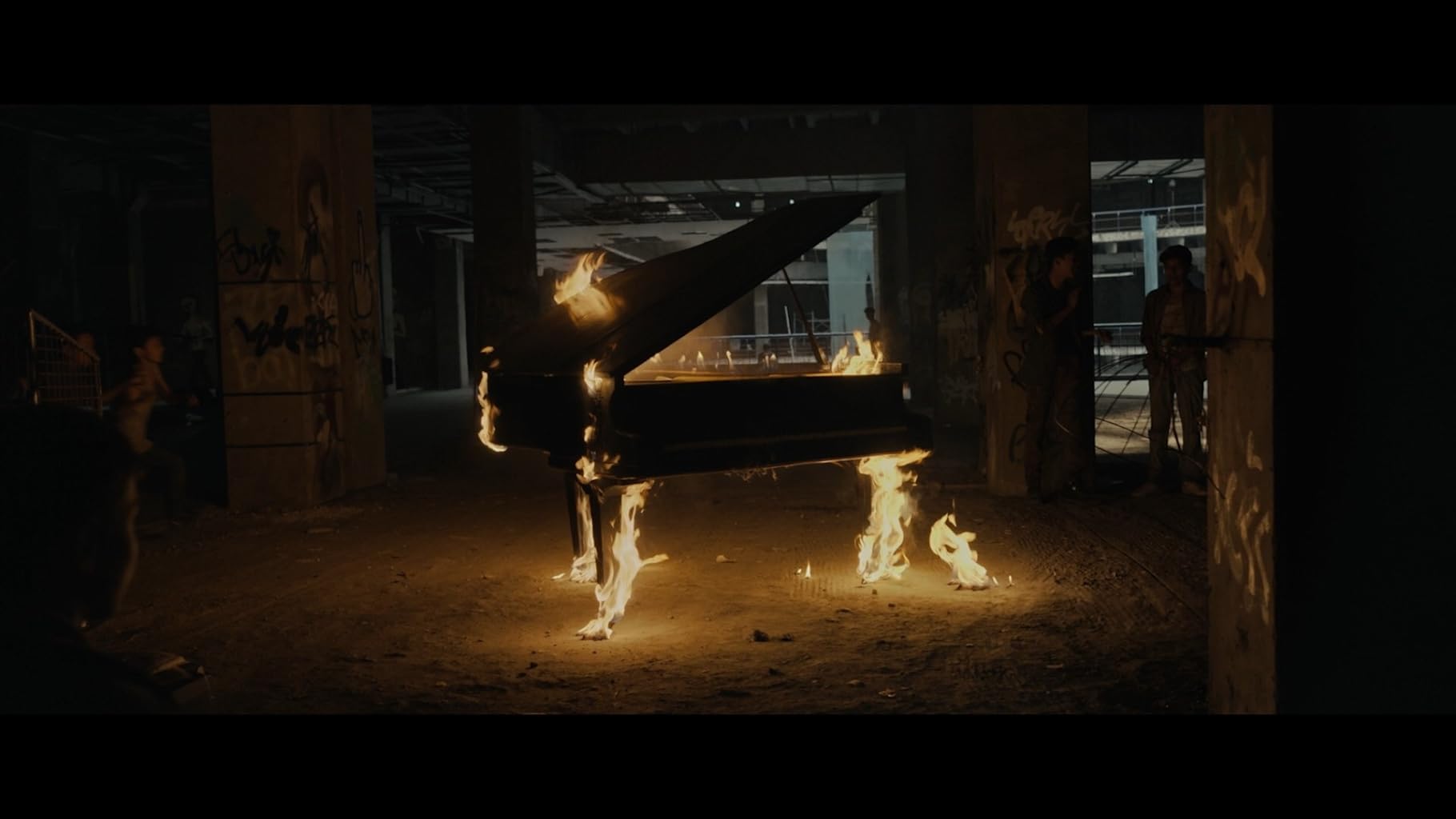 Фото - Тигры не боятся: 1820x1024 / 76 Кб