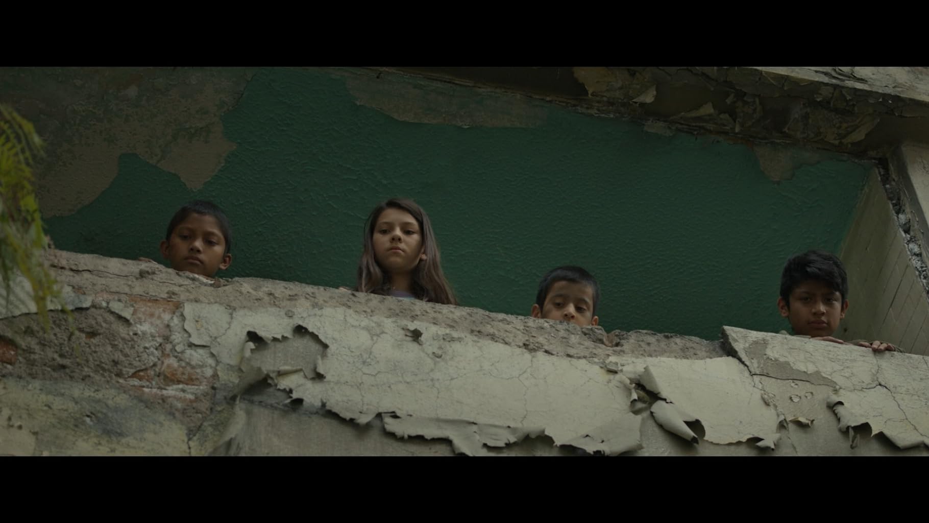 Фото - Тигры не боятся: 1820x1024 / 101 Кб