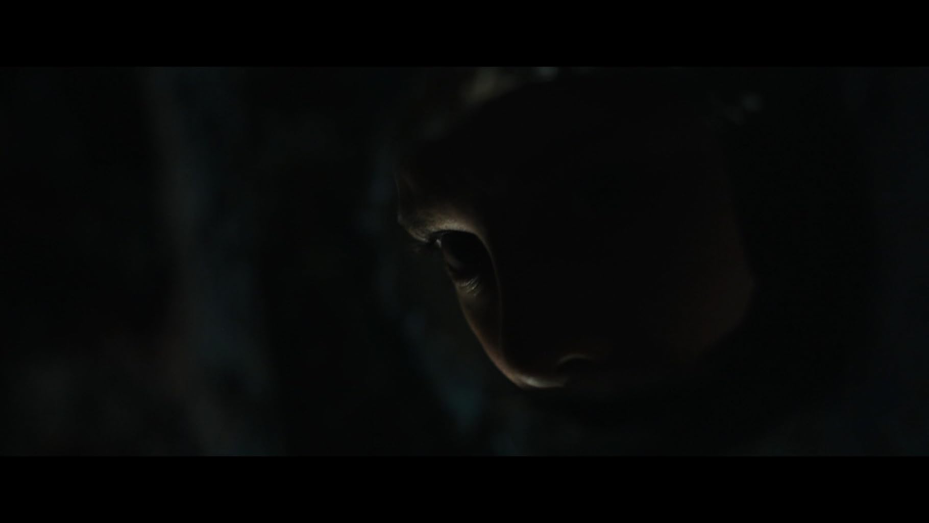 Фото - Тигры не боятся: 1820x1024 / 20 Кб