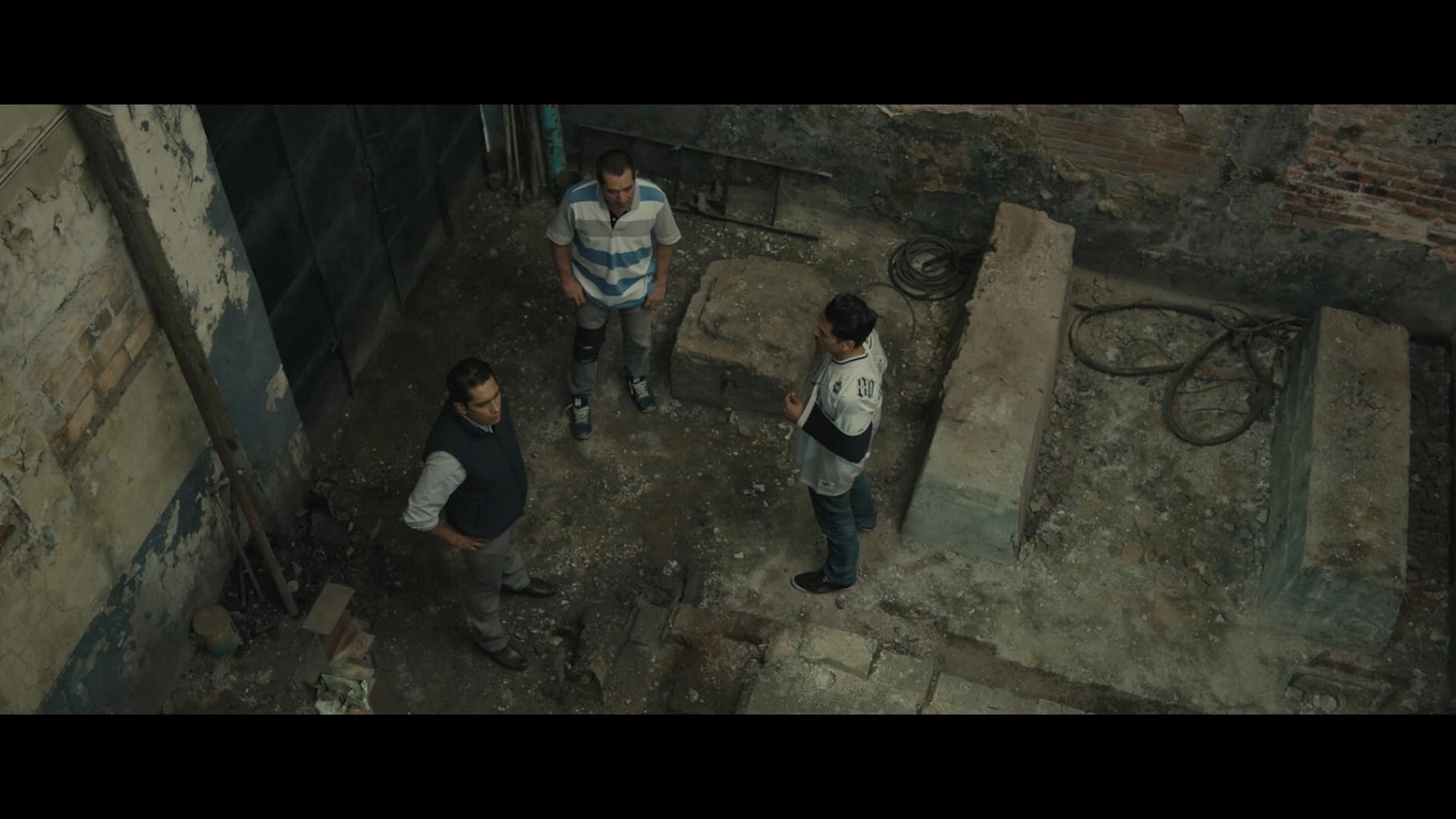 Фото - Тигры не боятся: 1820x1024 / 118 Кб