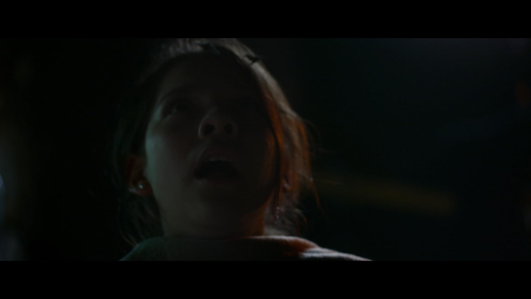 Фото - Тигры не боятся: 1820x1024 / 29 Кб