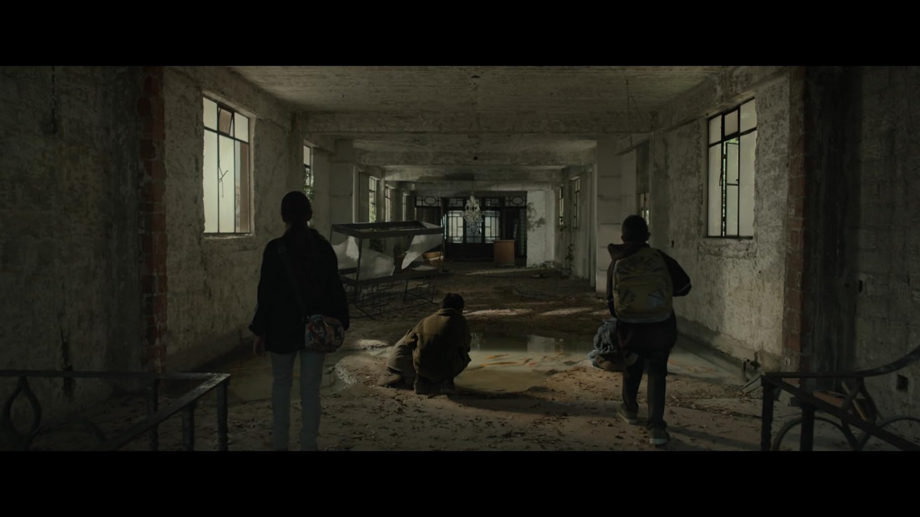 Фото - Тигры не боятся: 1820x1024 / 94 Кб