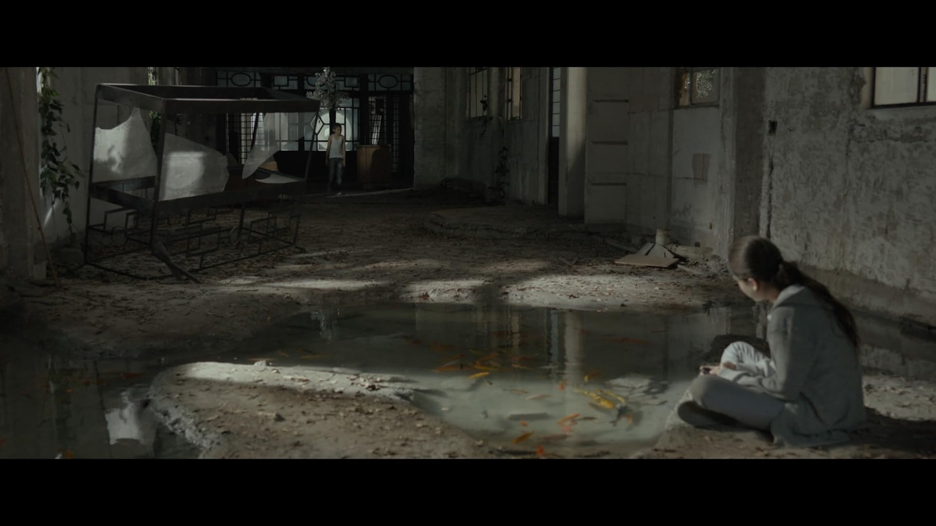 Фото - Тигры не боятся: 1820x1024 / 95 Кб